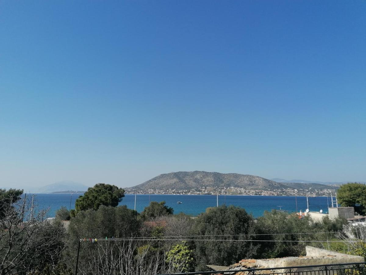 Villa Welcome In Salamina Extérieur photo